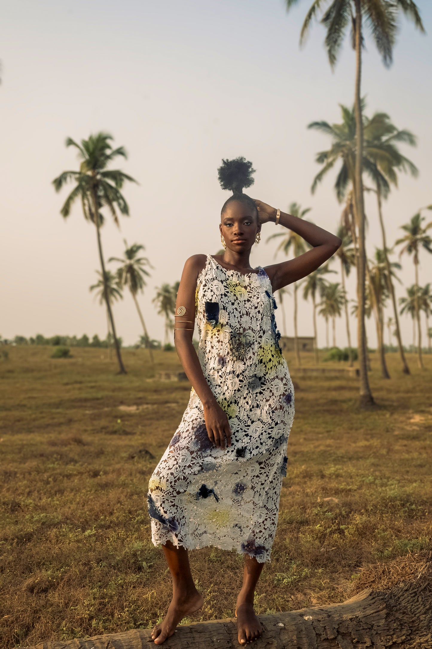 3-D Appliqué Lace Dress